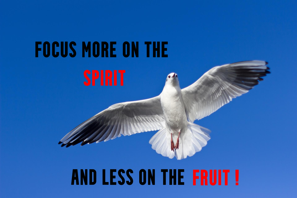 Dove with words Focus more on the Spirit and less ont he Fruit. 
